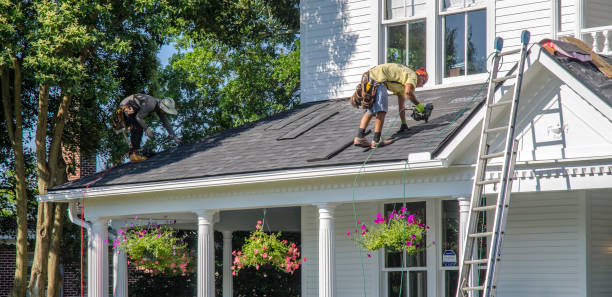 Best Storm Damage Roof Repair  in Pinetops, NC
