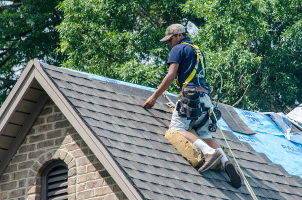 Best Roof Gutter Cleaning  in Pinetops, NC